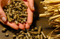 free Irongray biomass boiler quotes